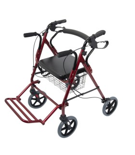 Rollator y silla de ruedas (2 en 1) | EAN 010C